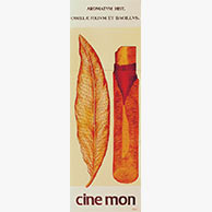 <em>Cinemon</em>, 2005, 12'x4', Enamel on aluminum